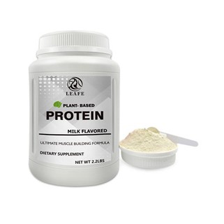 Organic Plant Based Whey Protein Powder